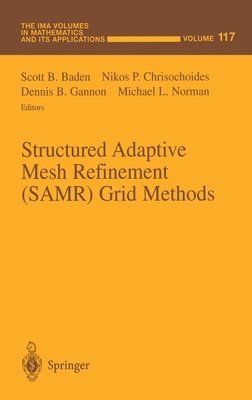 Structured Adaptive Mesh Refinement (SAMR) Grid Methods