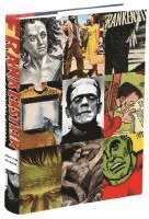 Susan Tyler Hitchcock - Frankenstein, Inbunden