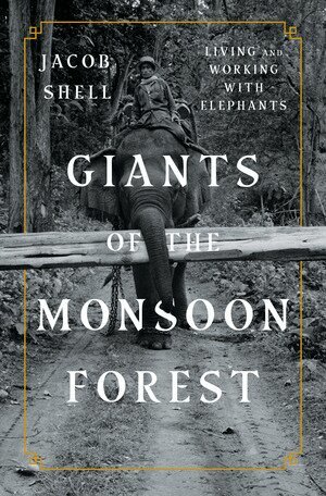 Jacob Shell - Giants of the Monsoon Forest, Inbunden. Tillgänglighet: Lägg i varukorg