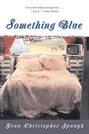 Jean Christopher Spaugh - Something Blue, Häftad