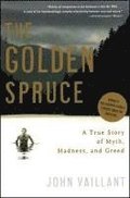 Golden Spruce