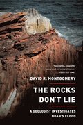 Rocks Don't Lie