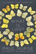 What Is Life?