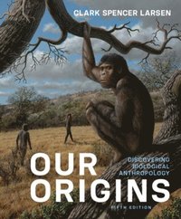 Our Origins