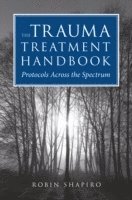 The Trauma Treatment Handbook