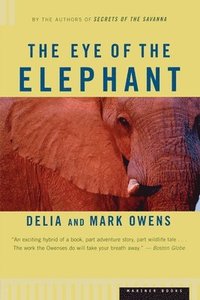 The Eye of the Elephant