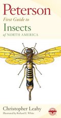 First Guide to Insects