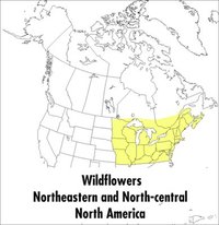 Peterson Field Guide To Wildflowers, A