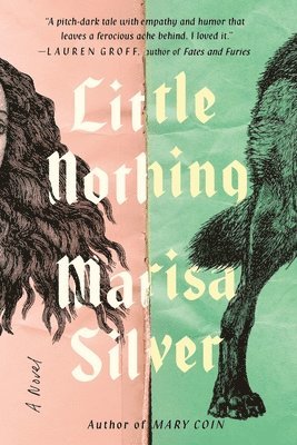 Marisa Silver - Little Nothing, Häftad