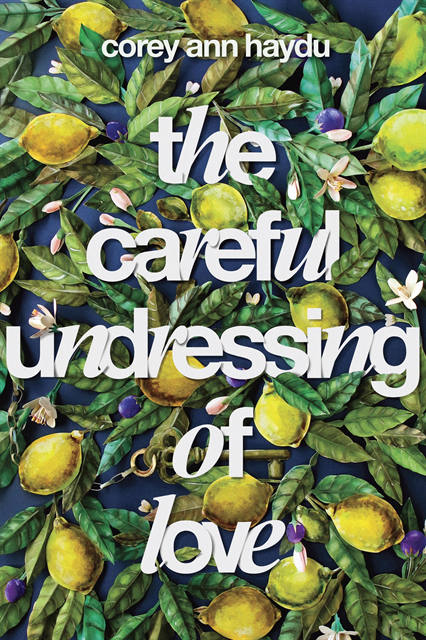 Corey Ann Haydu - Careful Undressing of Love, E-bok