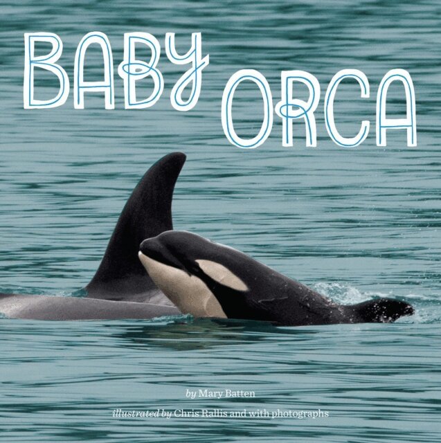 Mary Batten - Baby Orca, E-bok