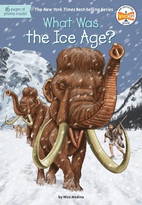David Groff, Nico Medina - What Was the Ice Age?, Häftad