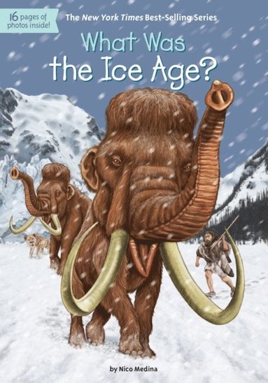 David Groff, Nico Medina - What Was the Ice Age?, E-bok