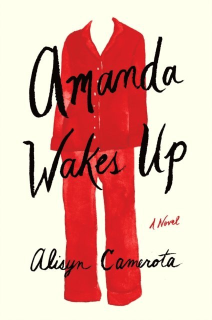 Alisyn Camerota - Amanda Wakes Up, E-bok