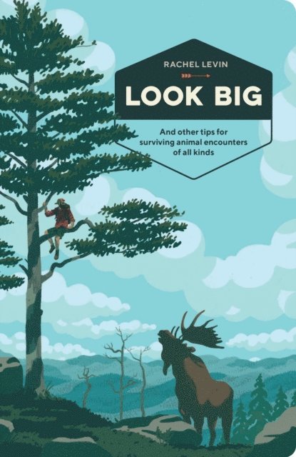 Rachel Levin - Look Big, E-bok
