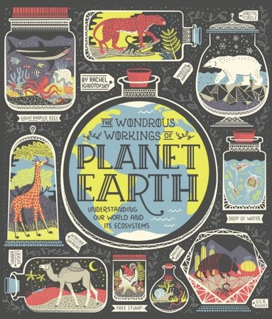 Rachel Ignotofsky - Wondrous Workings of Planet Earth, E-bok