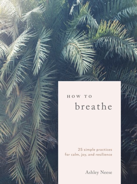 Ashley Neese - How to Breathe, E-bok