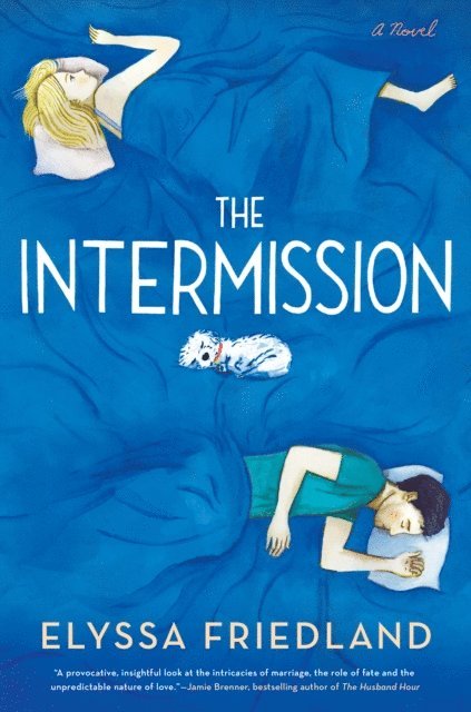 Elyssa Friedland - Intermission, E-bok