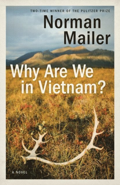Norman Mailer - Why Are We in Vietnam?, E-bok