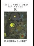 Undivided Universe