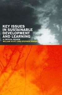 Key Issues in Sustainable Development and Learning: a critical review