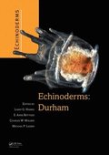 Echinoderms: Durham