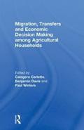 Migration, Transfers and Economic Decision Making among Agricultural Households