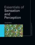 Essentials of Sensation and Perception