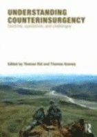 Understanding Counterinsurgency