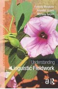 Understanding Linguistic Fieldwork