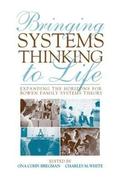 Bringing Systems Thinking to Life