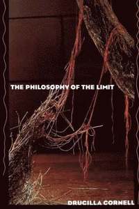 Philosophy of the Limit
