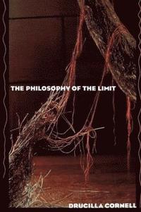 The Philosophy of the Limit