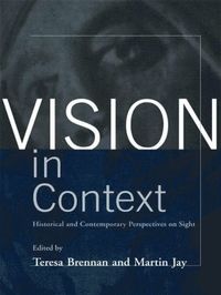 Vision in Context