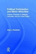Political Participation and Ethnic Minorities