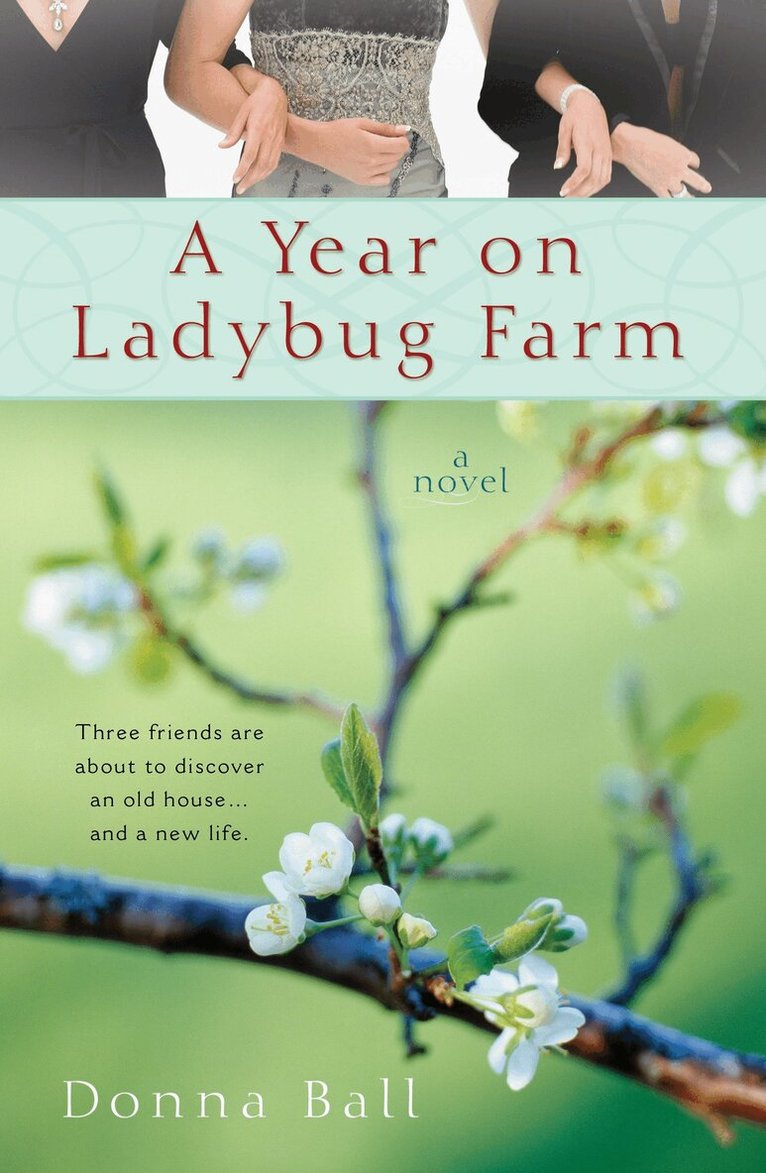 Donna Ball - Year on Ladybug Farm, Häftad