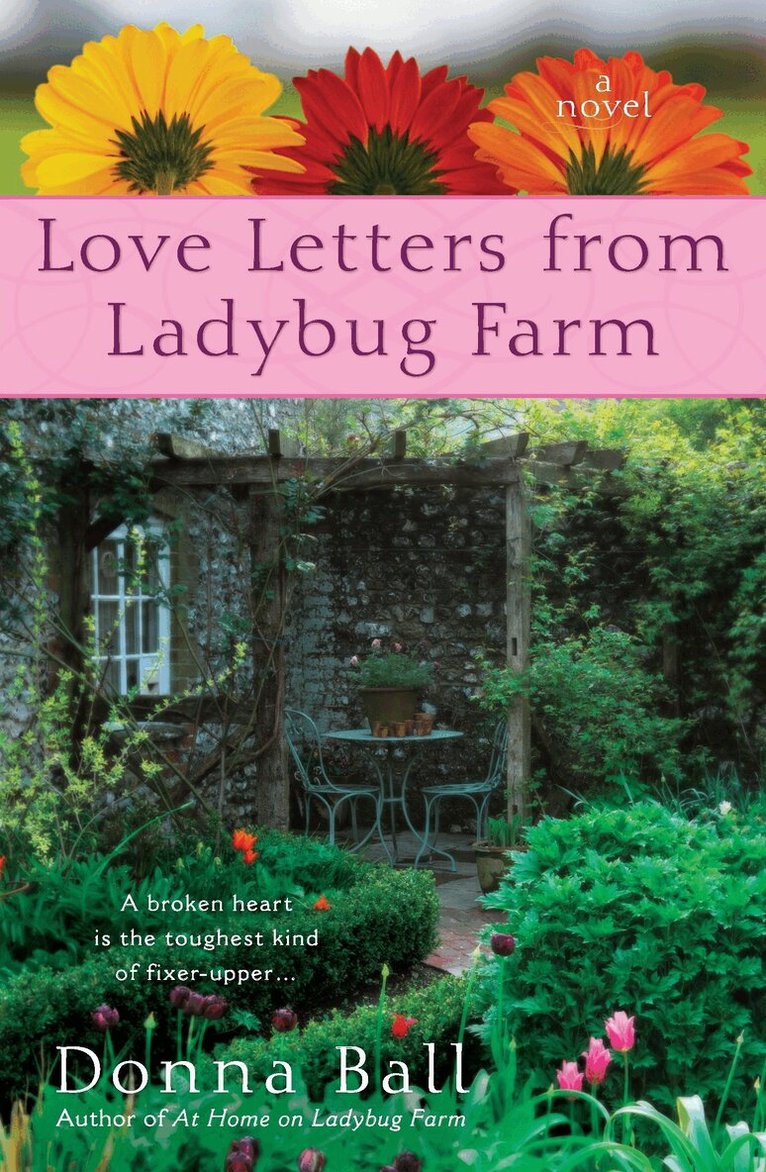 Donna Ball - Love Letters from Ladybug Farm, Häftad
