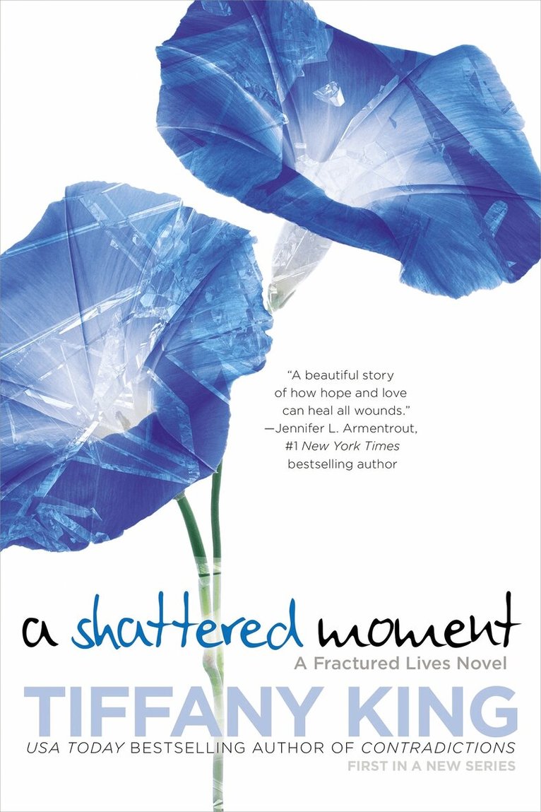 Tiffany King - Shattered Moment, Häftad