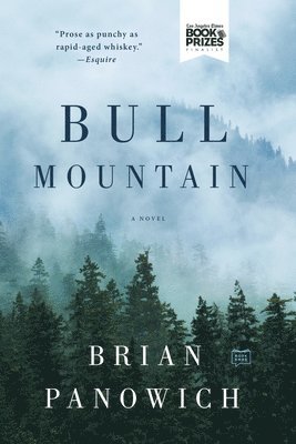 Brian Panowich - Bull Mountain, Häftad