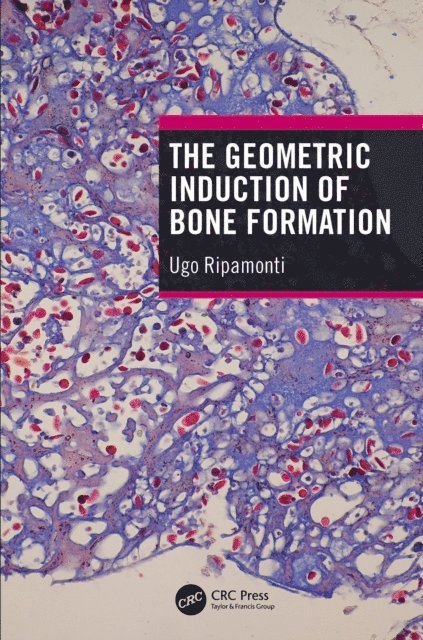 Ugo Ripamonti - Geometric Induction of Bone Formation, E-bok
