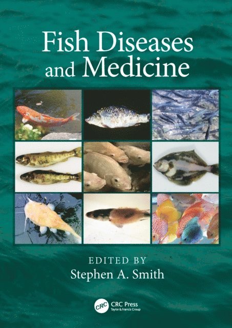 Stephen A. Smith - Fish Diseases and Medicine, E-bok