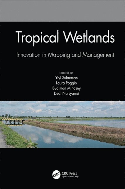 Dedi Nursyamsi, Budiman Minasny, Laura Poggio, Yiyi Sulaeman - Tropical Wetlands - Innovation in Mapping and Management, E-bok