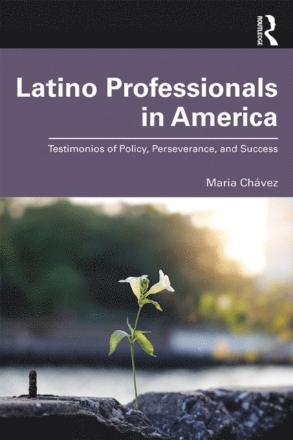 Maria Chavez - Latino Professionals in America, E-bok