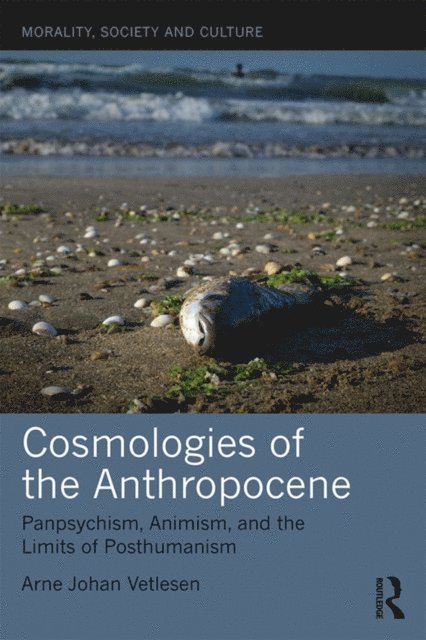 Arne Johan Vetlesen - Cosmologies of the Anthropocene, E-bok