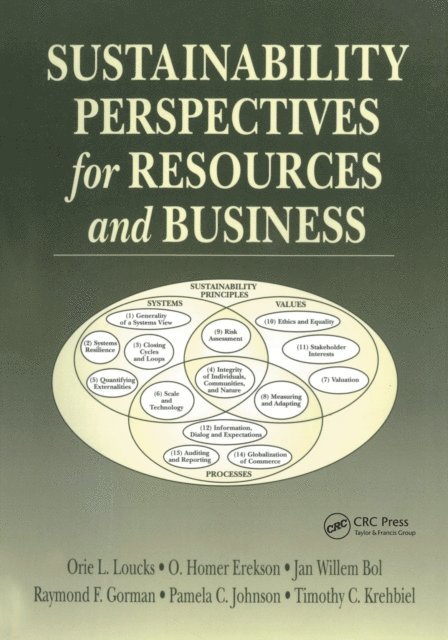 Timothy C. Krehbiel, Pamela C Johnson, Raymond F. Gorman, John F. Bol, O. Homer Erekson, Orie L. Loucks - Sustainability Perspectives for Resources and Business, E-bok