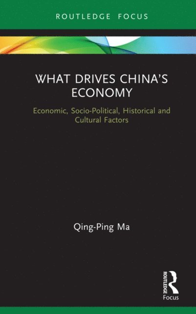 Qing-Ping Ma - What Drives China's Economy, E-bok