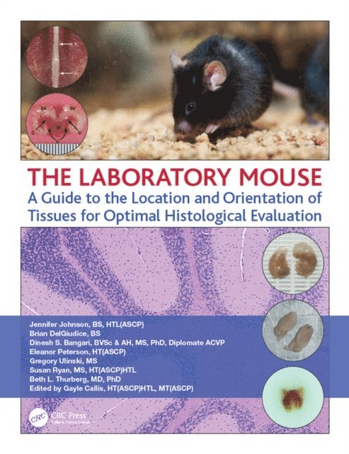 Beth Thurberg, Susan Ryan, Gregory Ulinski, Eleanor Peterson, Dinesh Bangari, Brian DelGiudice, Jennifer Johnson - Laboratory Mouse, E-bok