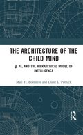 Architecture of the Child Mind