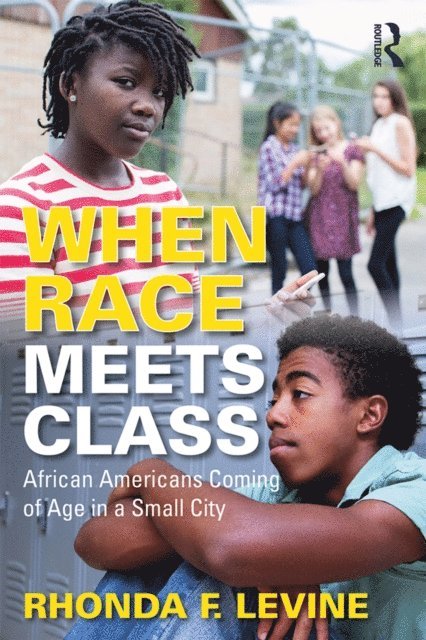 Rhonda Levine - When Race Meets Class, E-bok