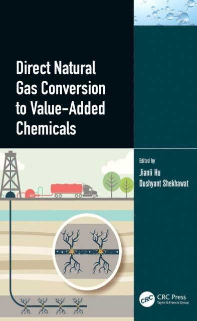 Dushyant Shekhawat, Jianli Hu - Direct Natural Gas Conversion to Value-Added Chemicals, E-bok
